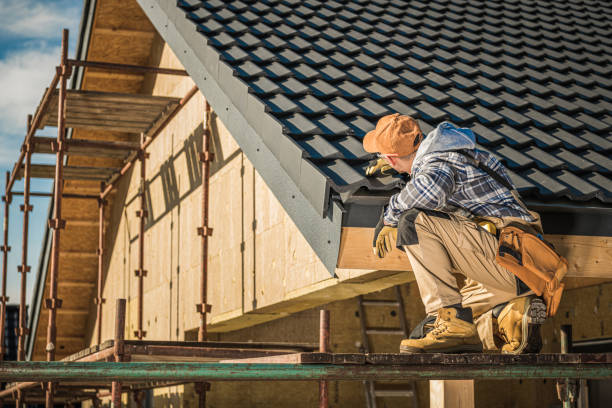 Best Shingle Roofing Installation  in Warminster Heights, PA