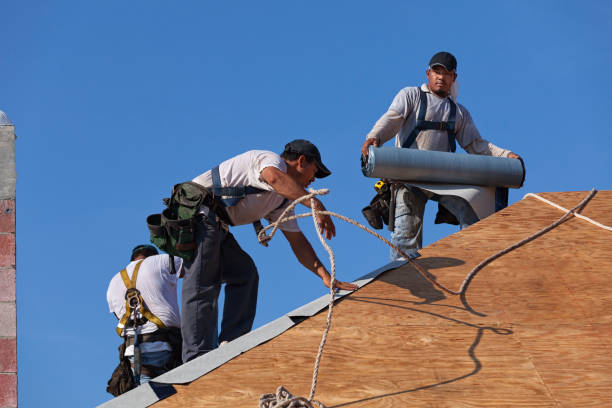 Best New Roof Installation  in Warminster Heights, PA